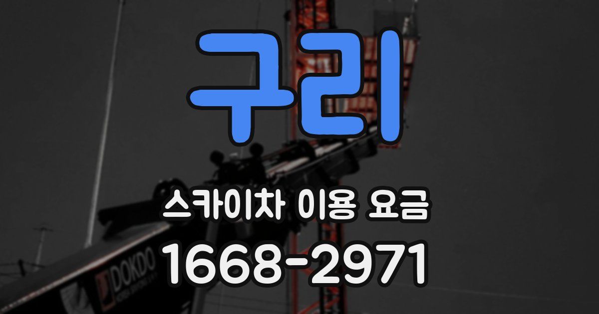 구리 스카이차 이용 요금