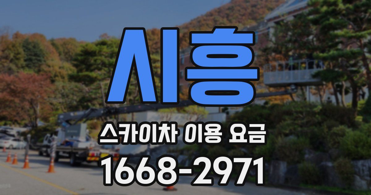 시흥 스카이차 이용 요금