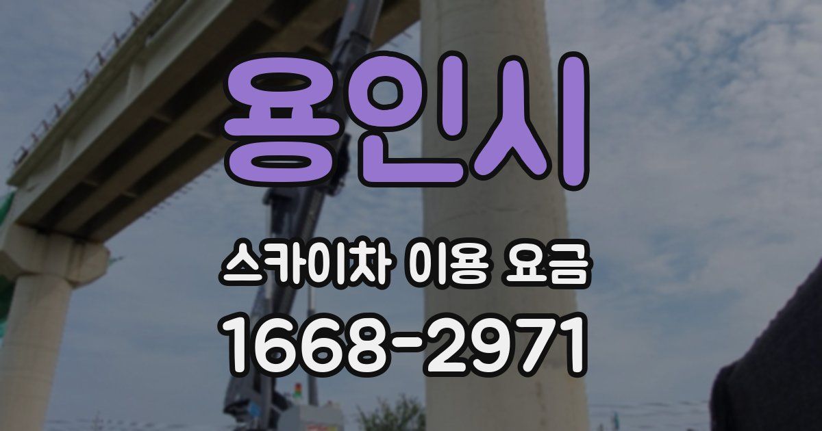 용인시 스카이차 이용 요금