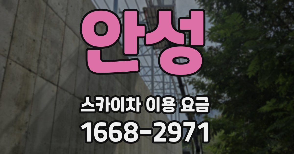 안성 스카이차 이용 요금