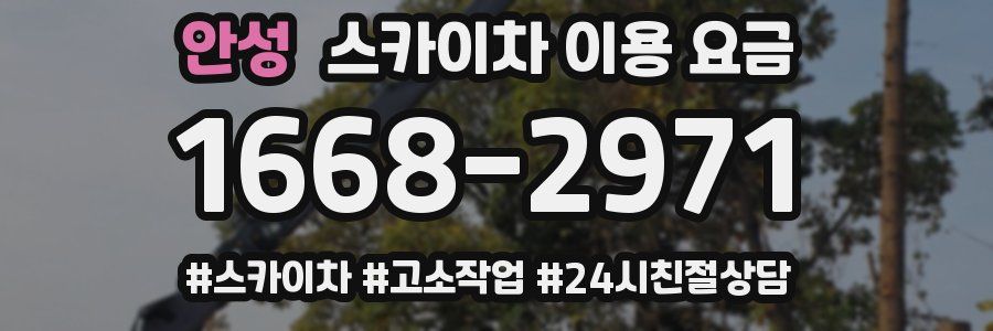 안성 스카이차 이용 요금