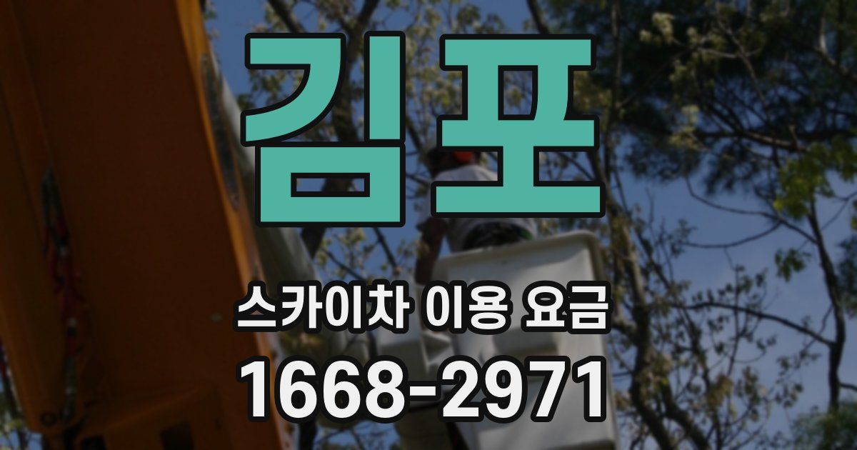 김포 스카이차 이용 요금