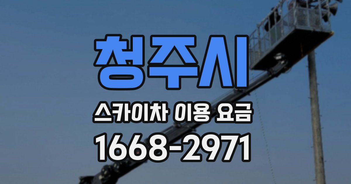 청주시 스카이차 이용 요금