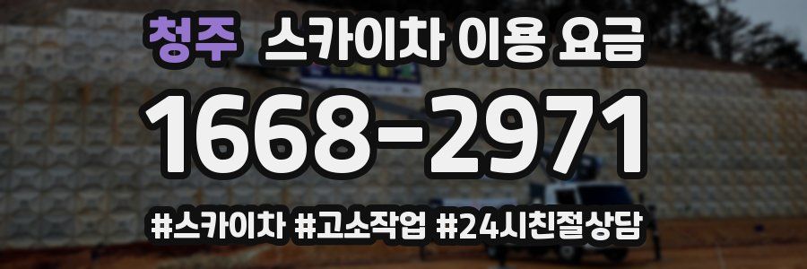 청주 스카이차 이용 요금