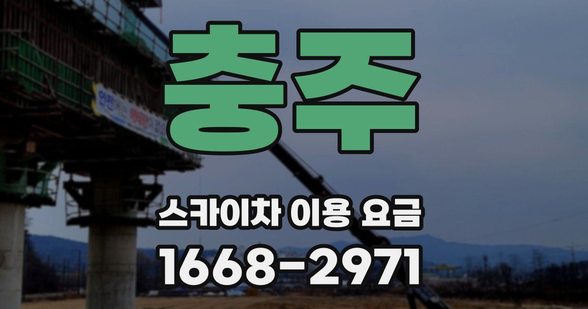충주 스카이차 이용 요금