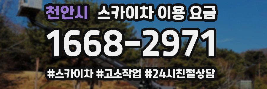 천안시 스카이차 이용 요금