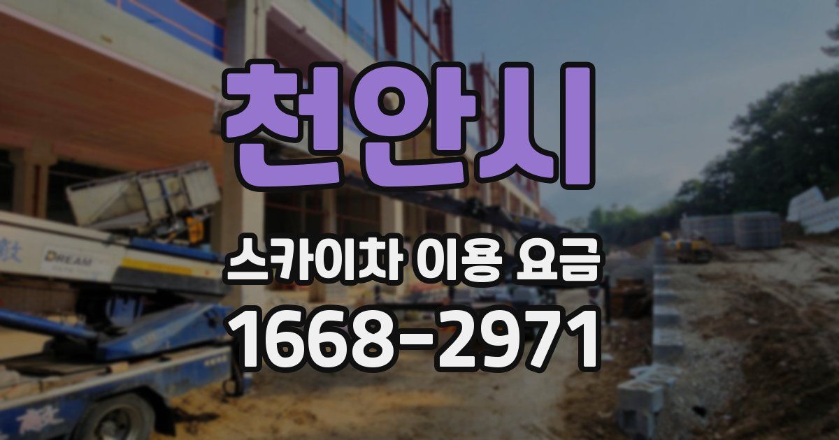 천안시 스카이차 이용 요금