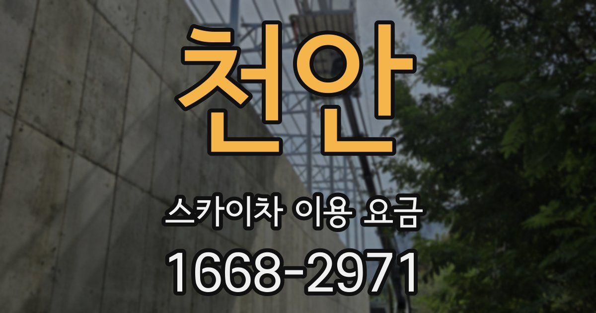 천안 스카이차 이용 요금