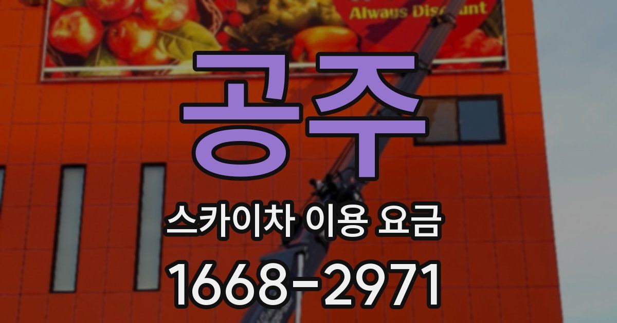 공주 스카이차 이용 요금