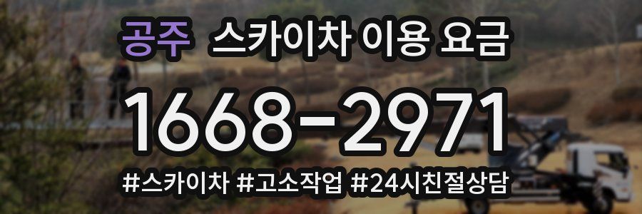 공주 스카이차 이용 요금
