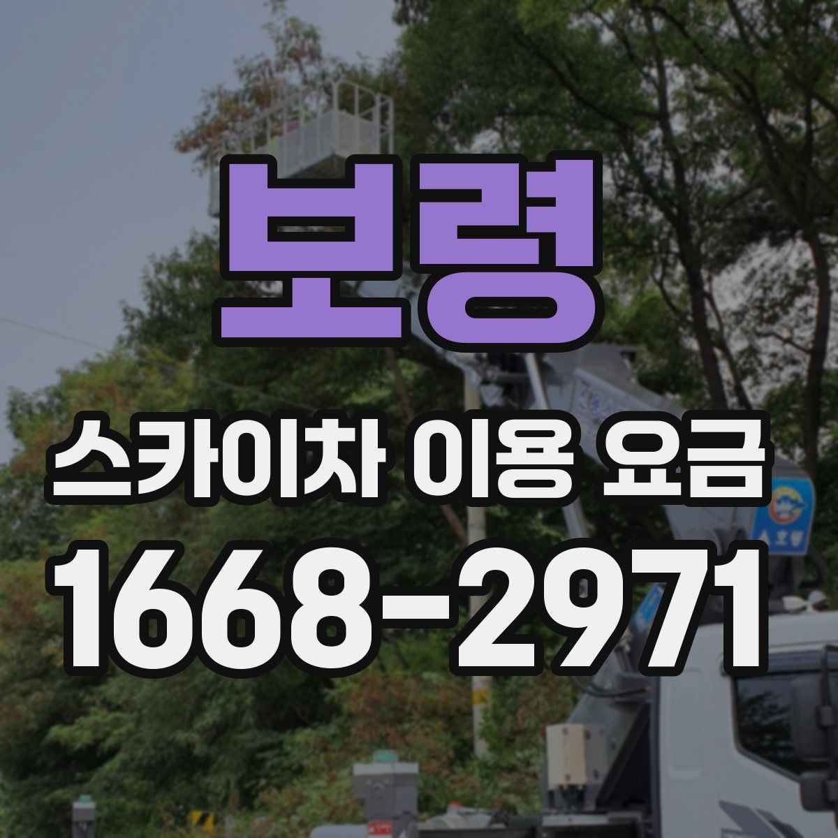 보령 스카이차 이용 요금 문의 시 자주 하는 실수