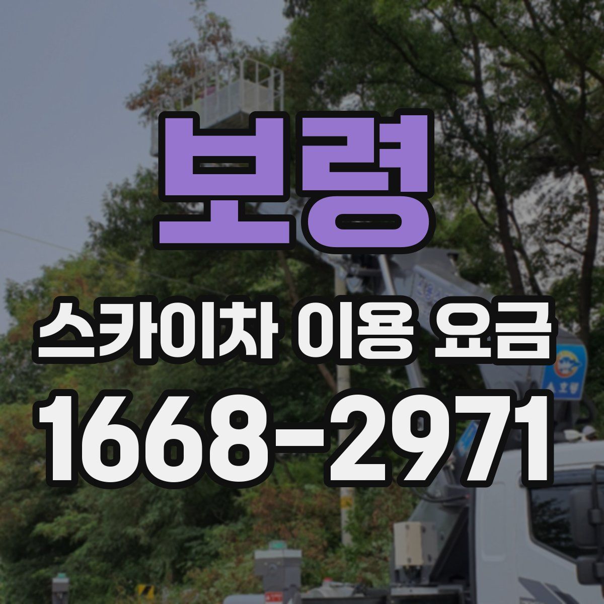 보령 스카이차 이용 요금