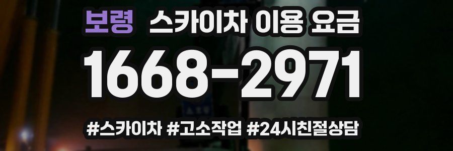 보령 스카이차 이용 요금