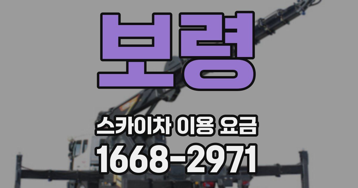 보령 스카이차 이용 요금