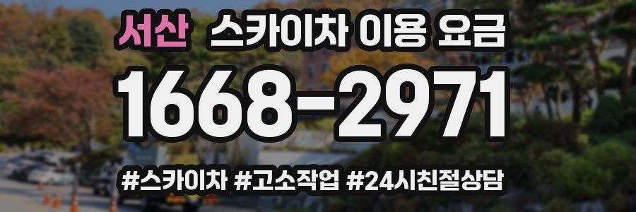 서산 스카이차 이용 요금