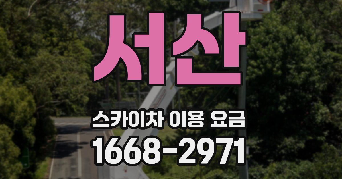 서산 스카이차 이용 요금