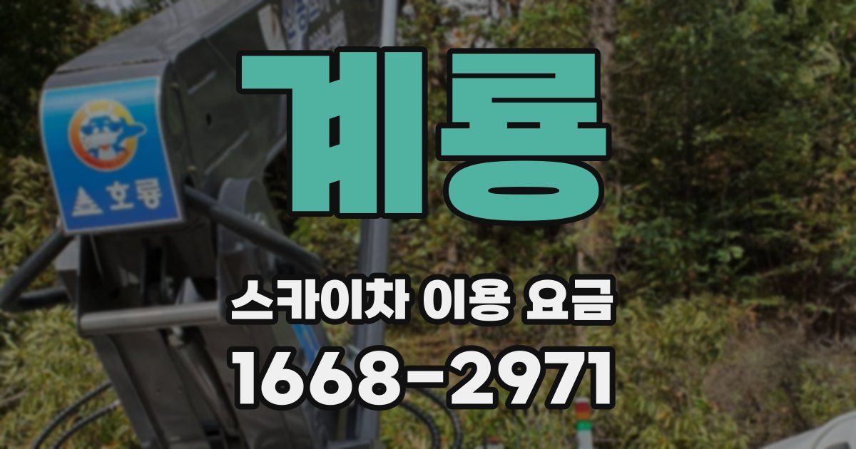 계룡 스카이차 이용 요금