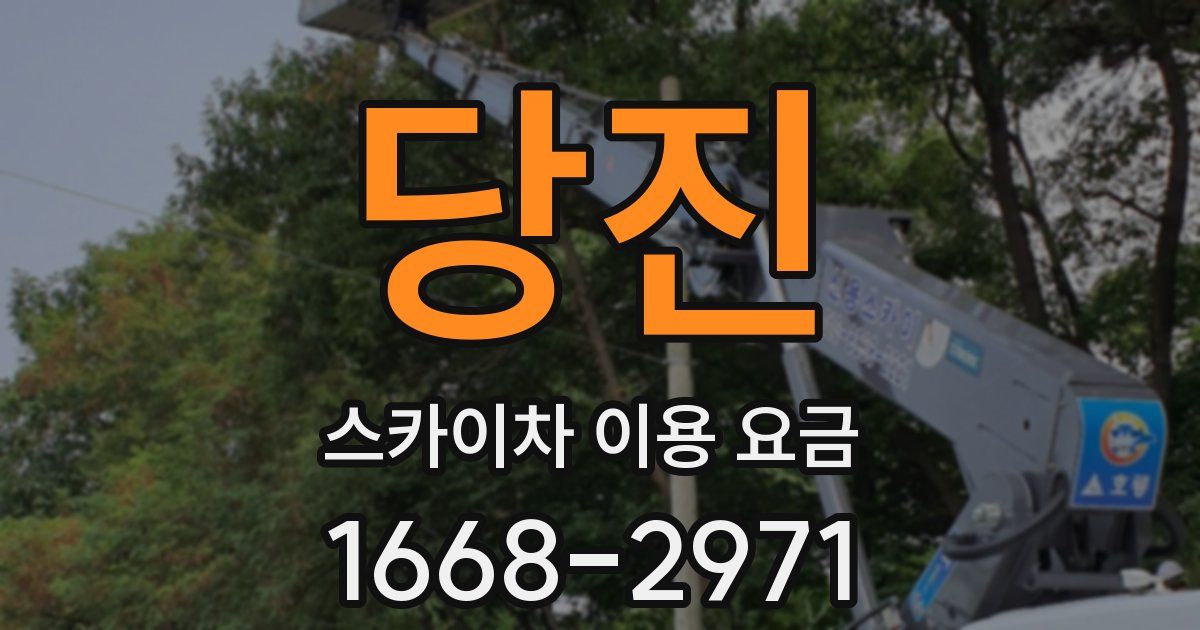 당진 스카이차 이용 요금