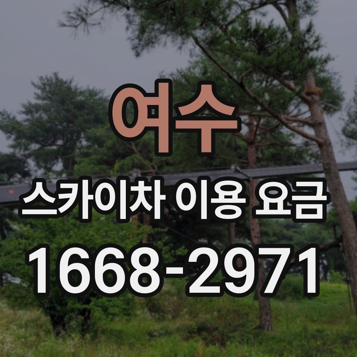 여수 스카이차 이용 요금