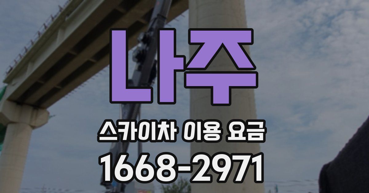 나주 스카이차 이용 요금