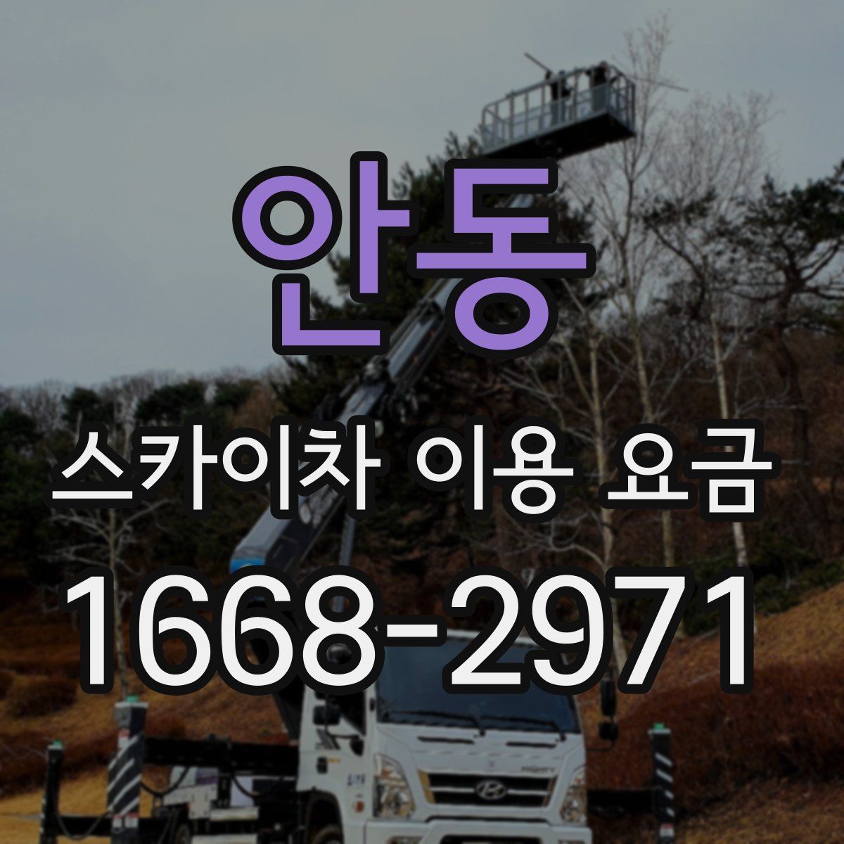 안동 스카이차 이용 요금