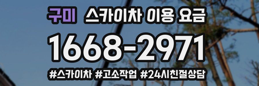 구미 스카이차 이용 요금