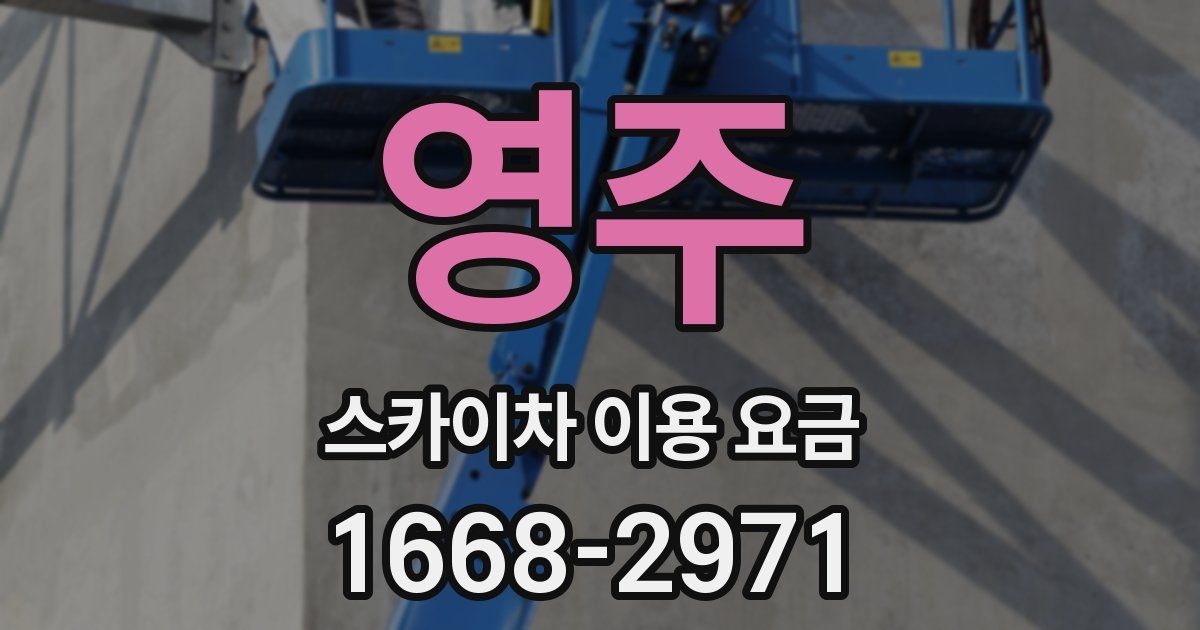 영주 스카이차 이용 요금