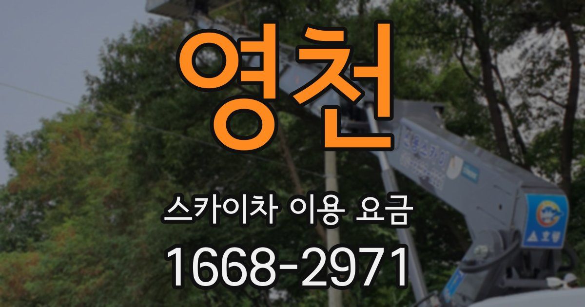 영천 스카이차 이용 요금