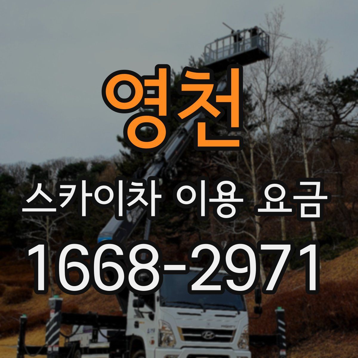 영천 스카이차 이용 요금
