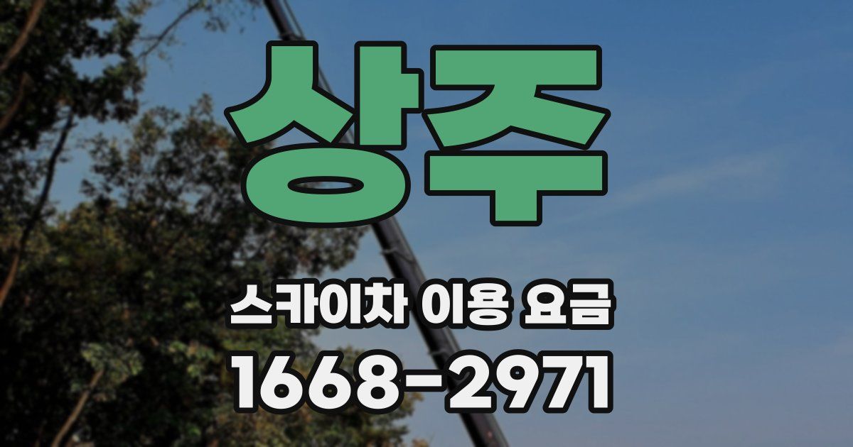 상주 스카이차 이용 요금