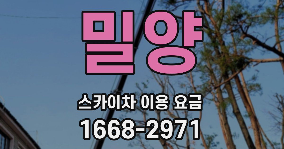 밀양 스카이차 이용 요금