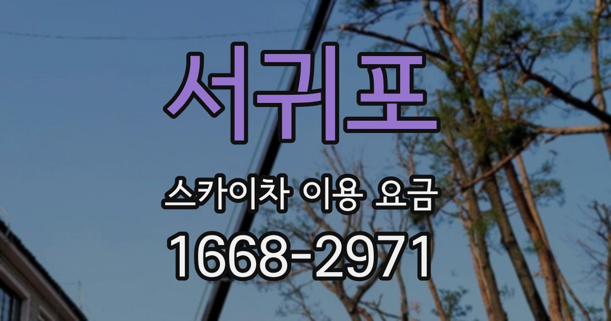서귀포 스카이차 이용 요금
