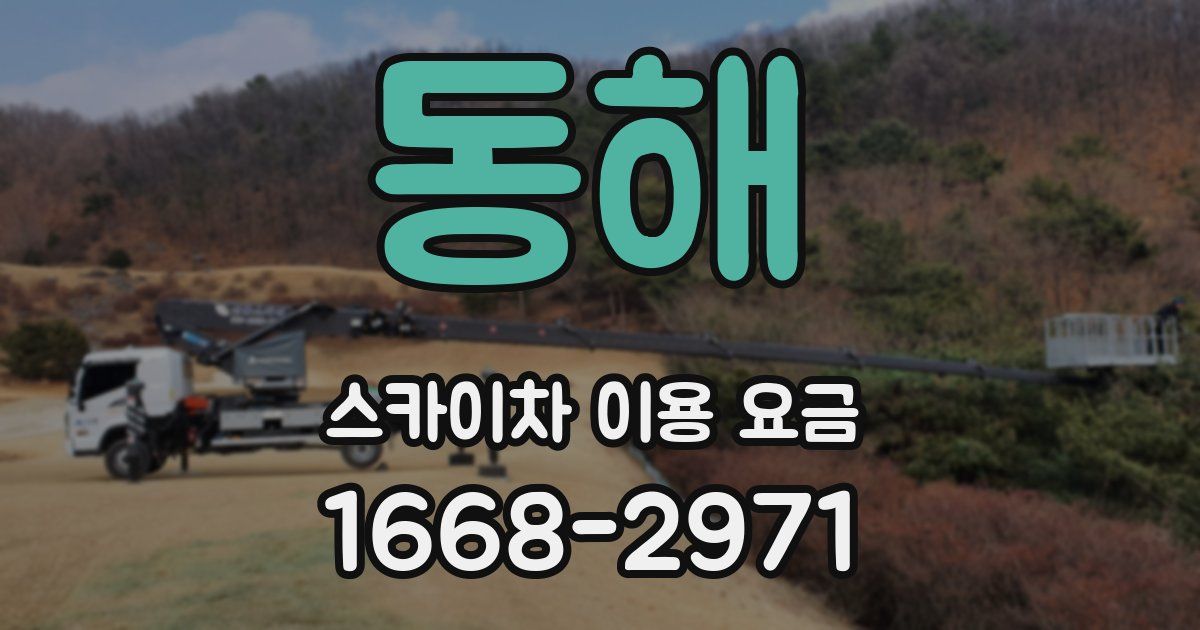 동해 스카이차 이용 요금