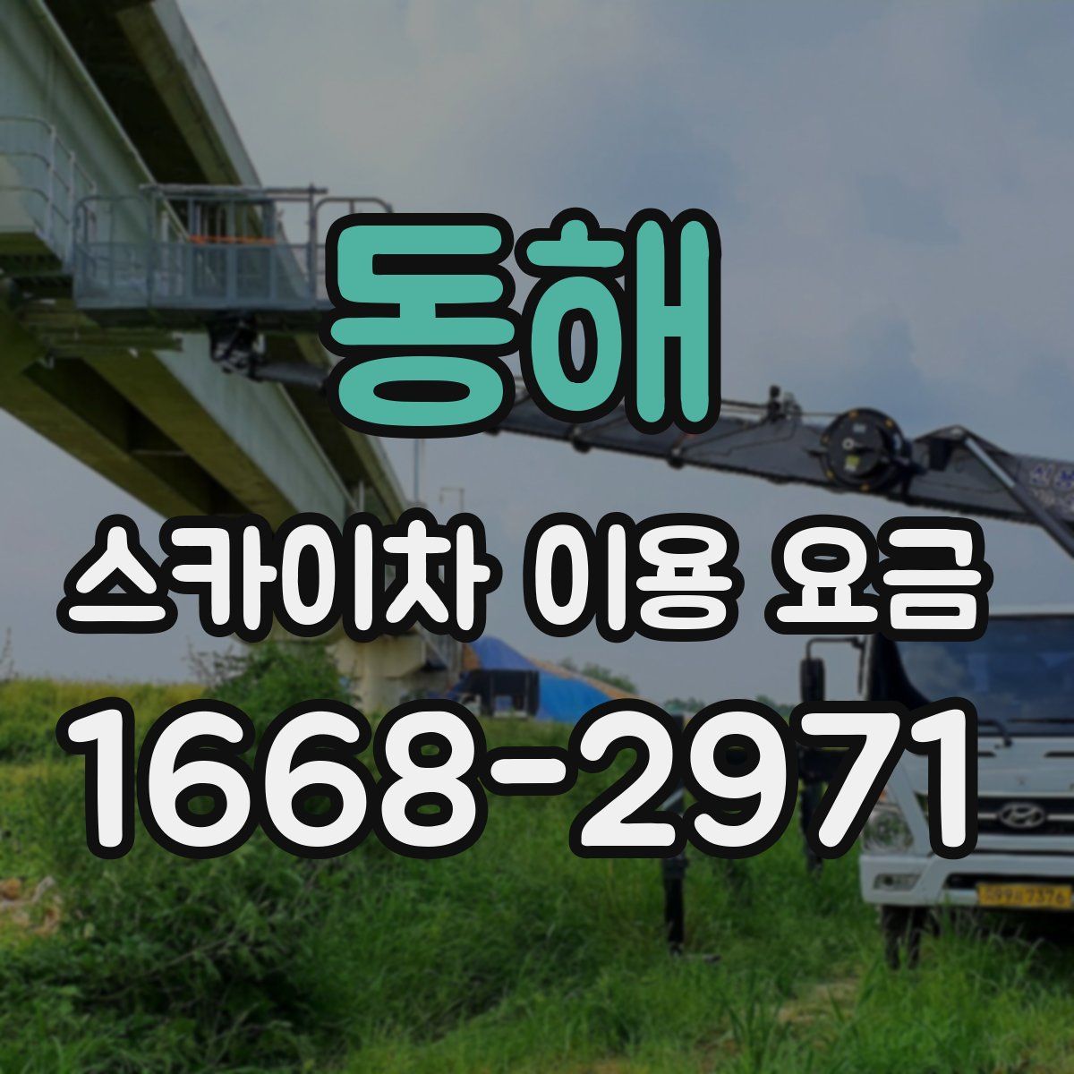 동해 스카이차 이용 요금
