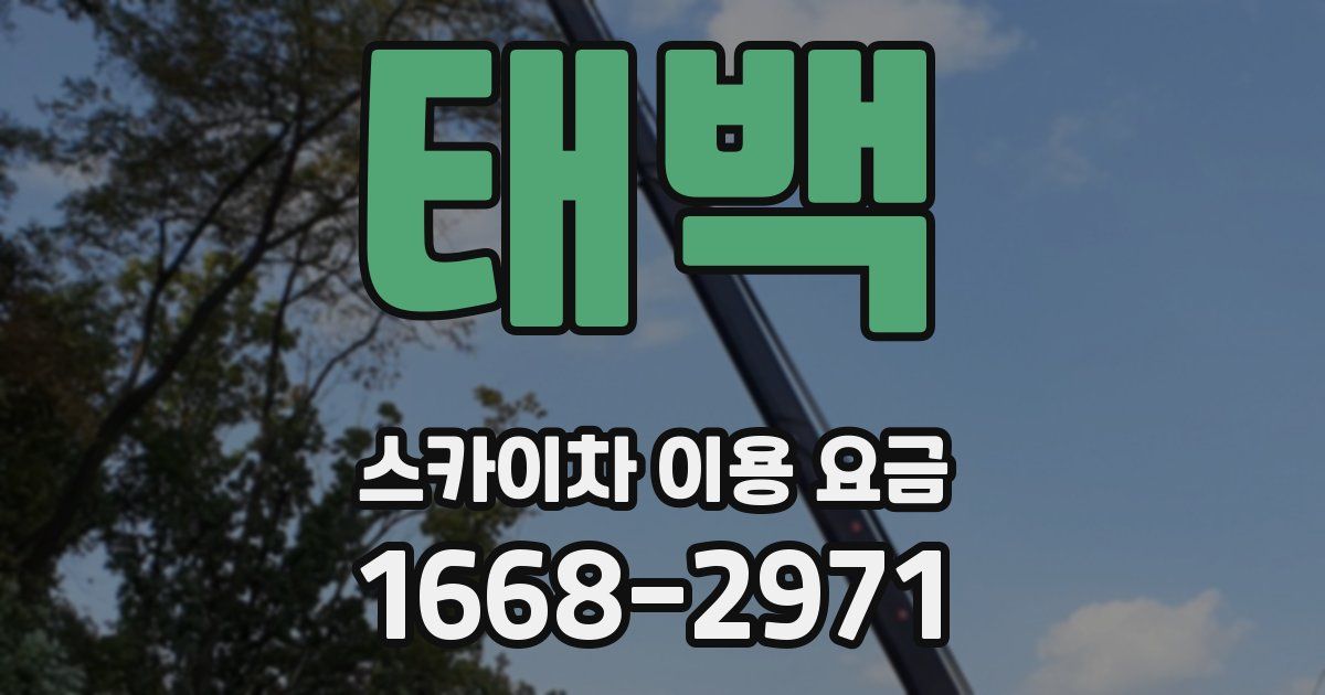 태백 스카이차 이용 요금