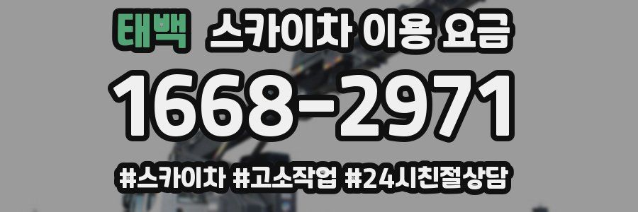 태백 스카이차 이용 요금