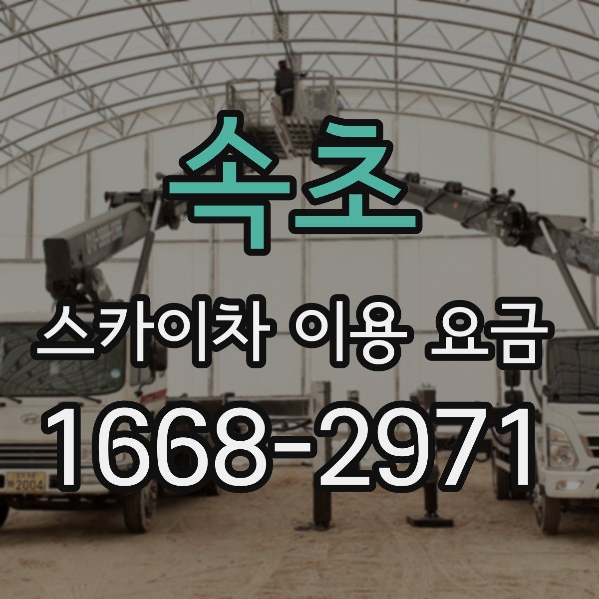 속초 스카이차 이용 요금