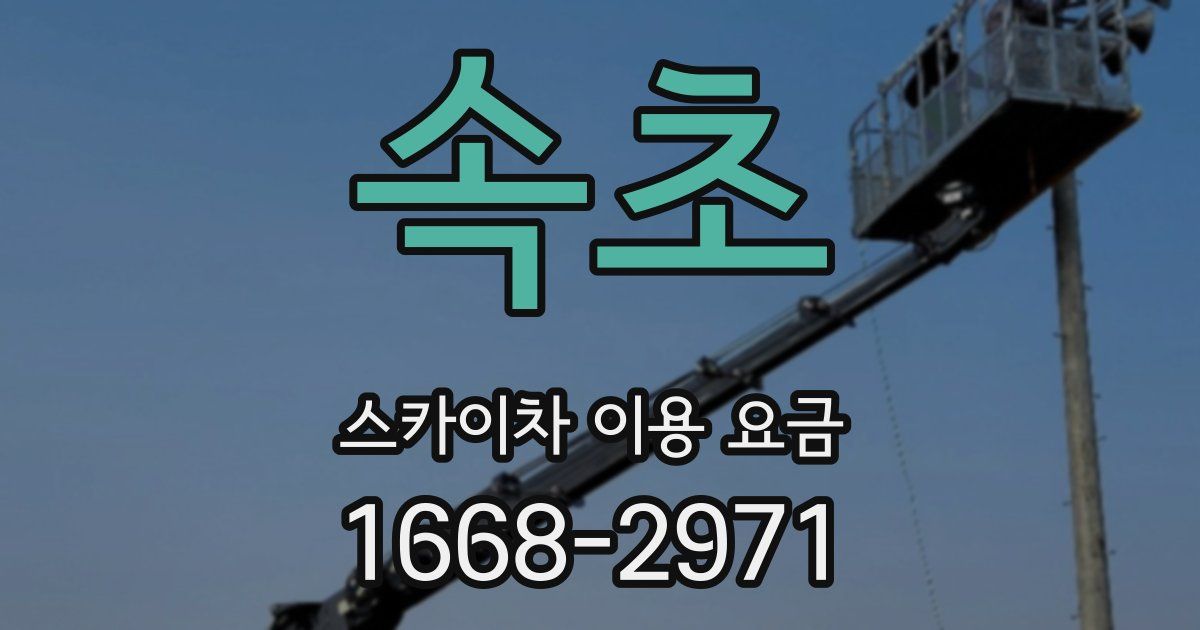 속초 스카이차 이용 요금