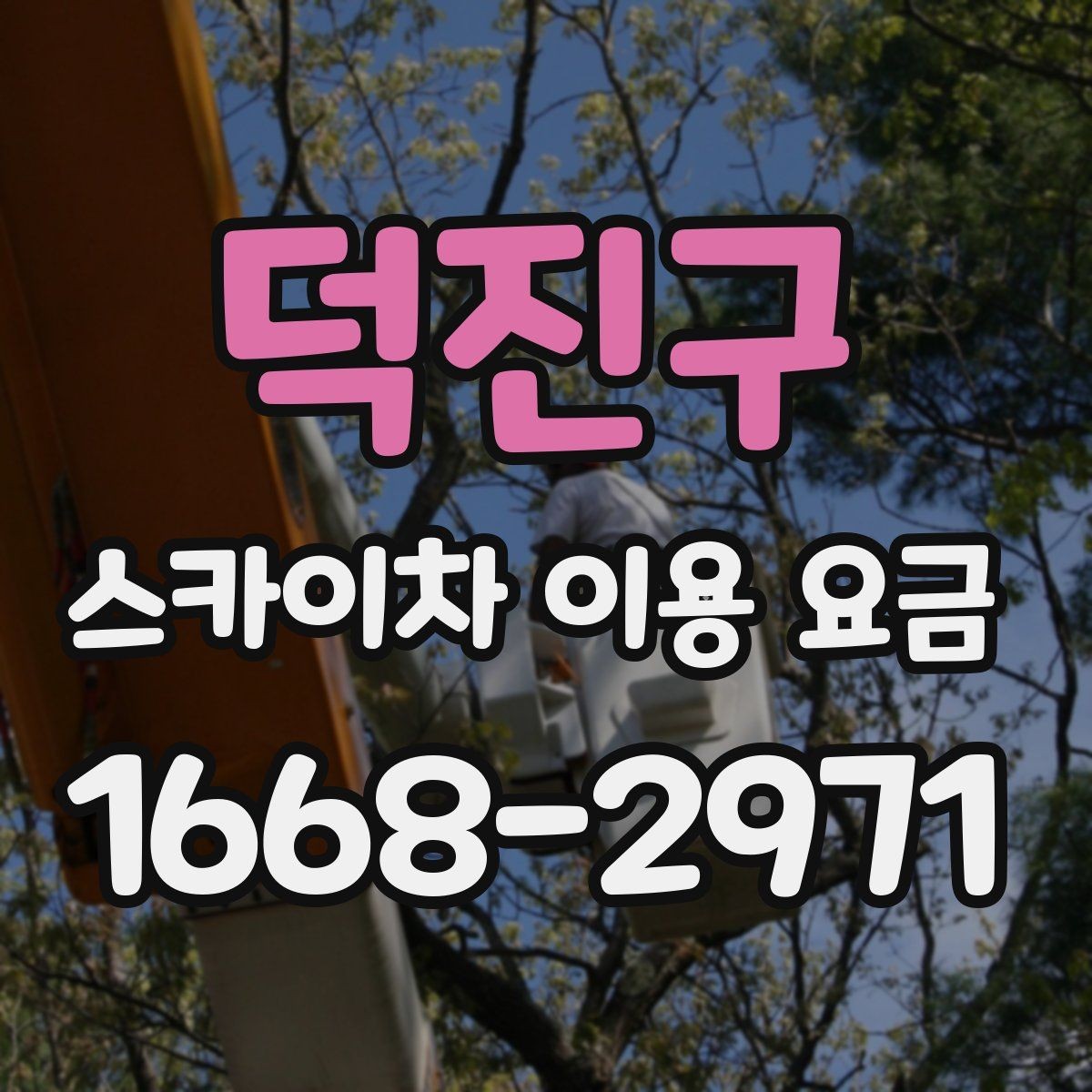 덕진구 스카이차 이용 요금 견적을 받을 때 질문할 내용