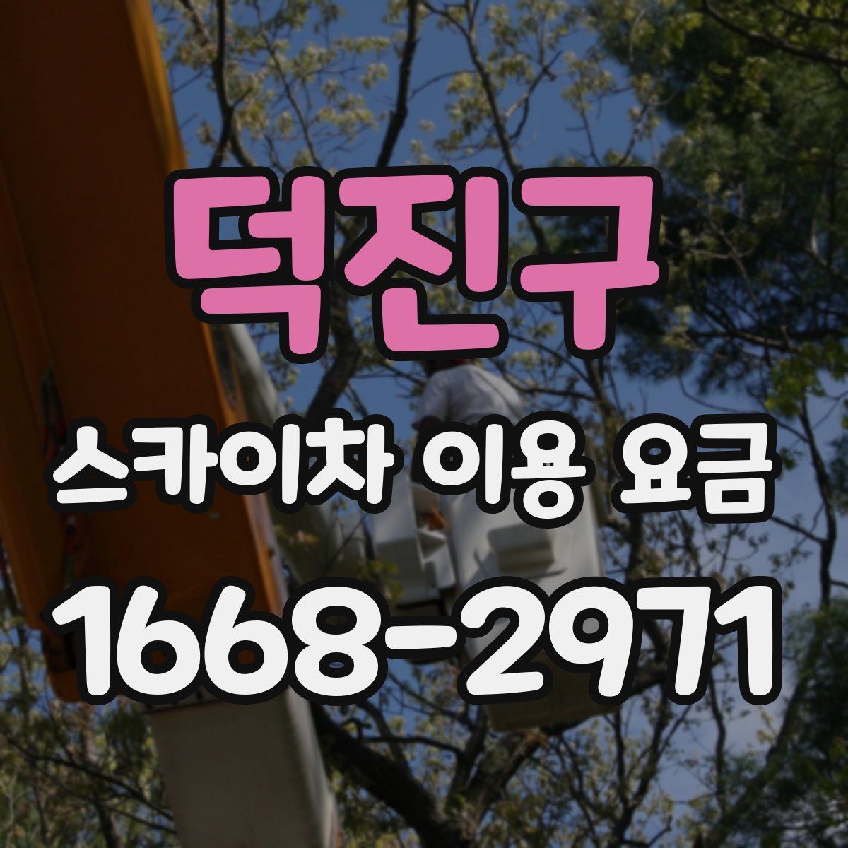 덕진구 스카이차 이용 요금