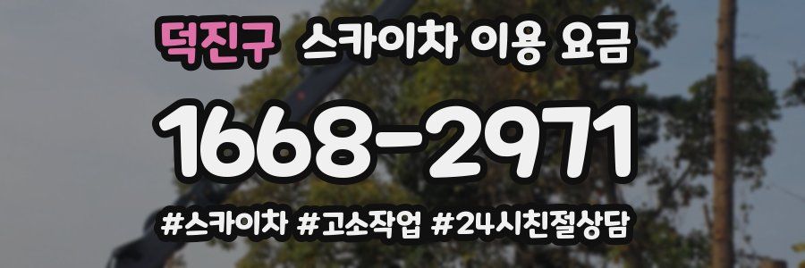 덕진구 스카이차 이용 요금