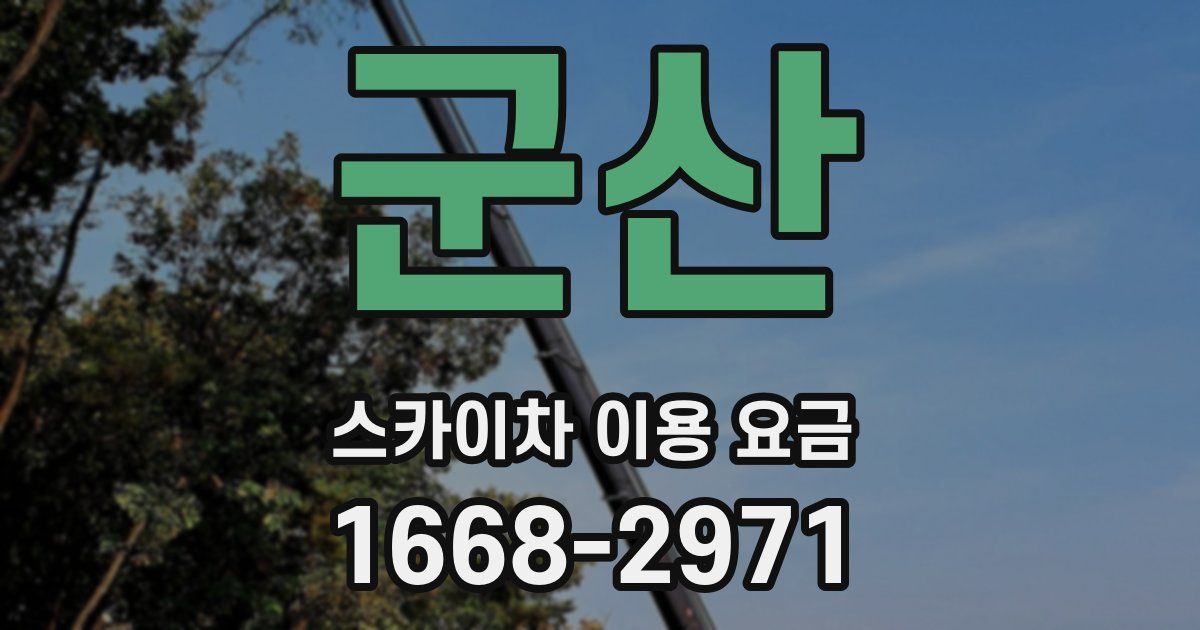 군산 스카이차 이용 요금