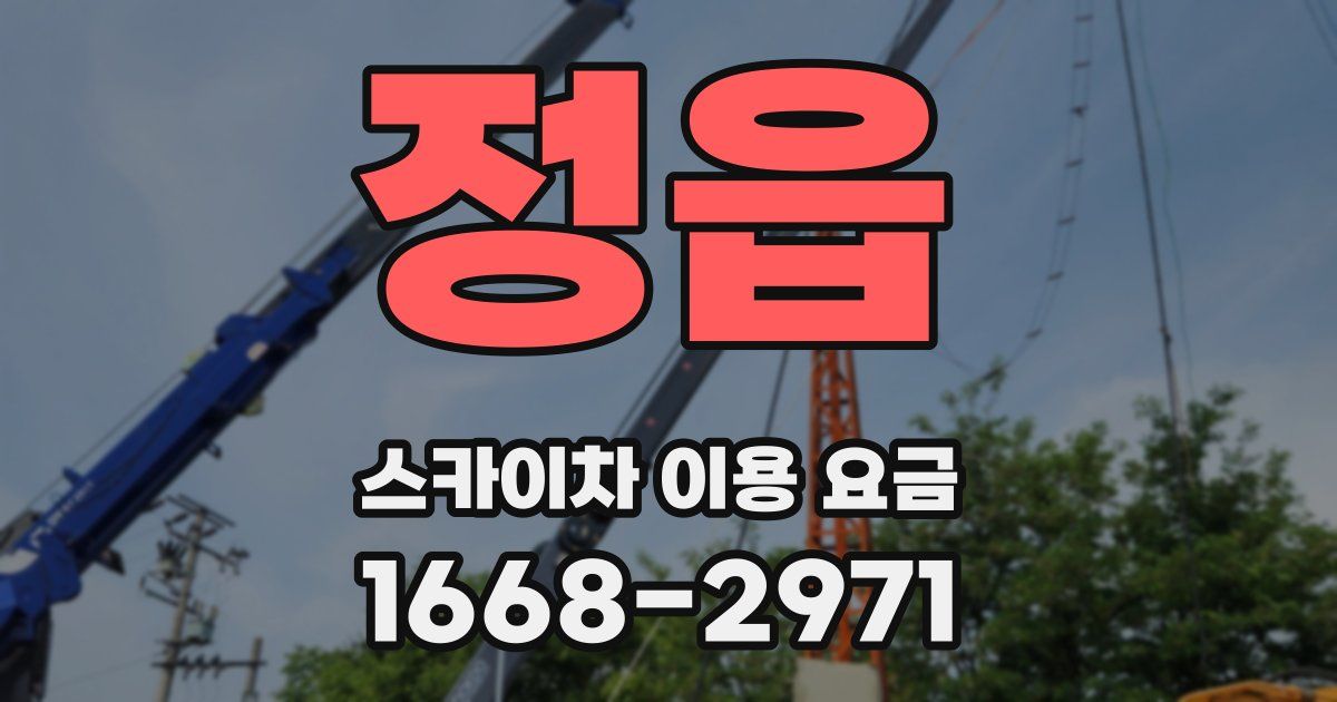 정읍 스카이차 이용 요금
