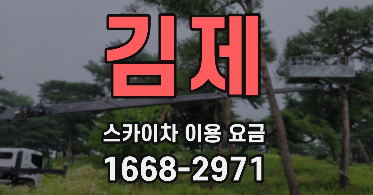 김제 스카이차 이용 요금