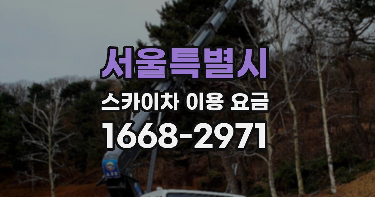 서울특별시 스카이차 이용 요금