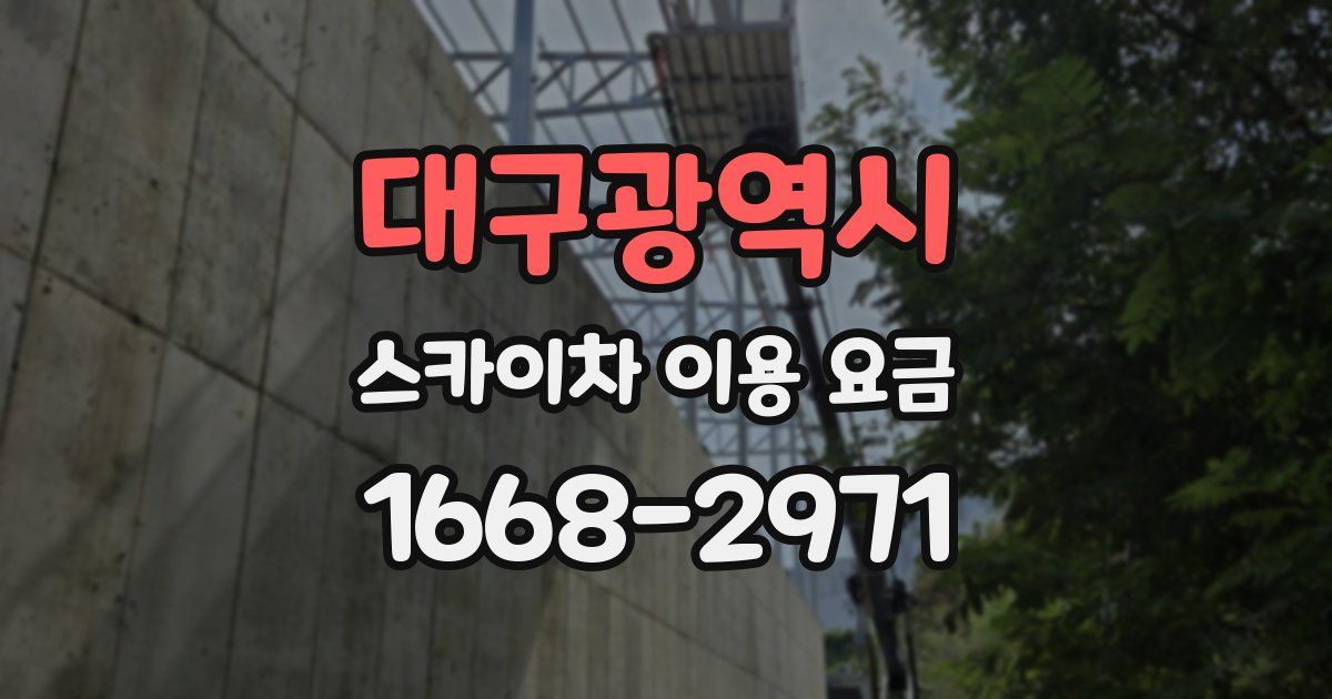 대구광역시 스카이차 이용 요금