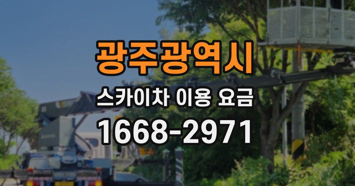 광주광역시 스카이차 이용 요금