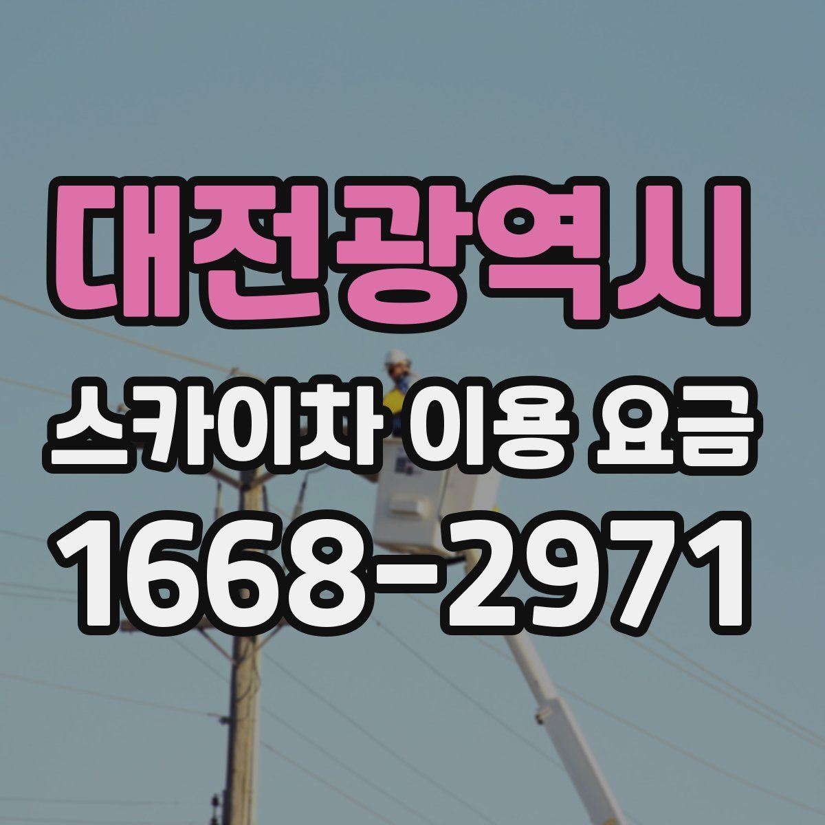 대전광역시 스카이차 이용 요금