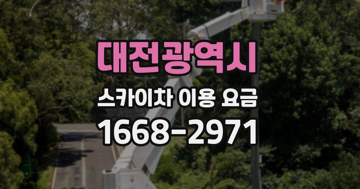대전광역시 스카이차 이용 요금