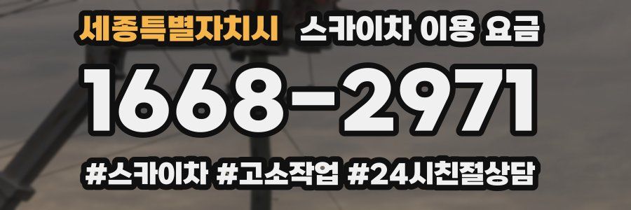 세종특별자치시 스카이차 이용 요금